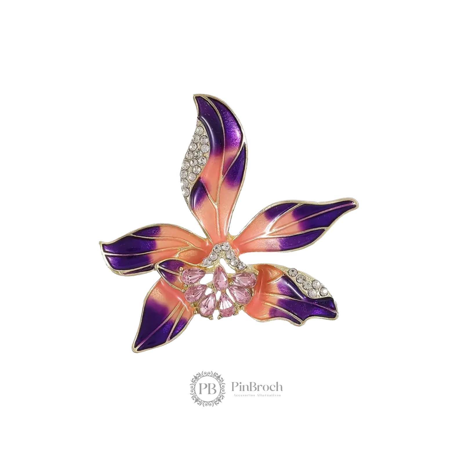 Narciso