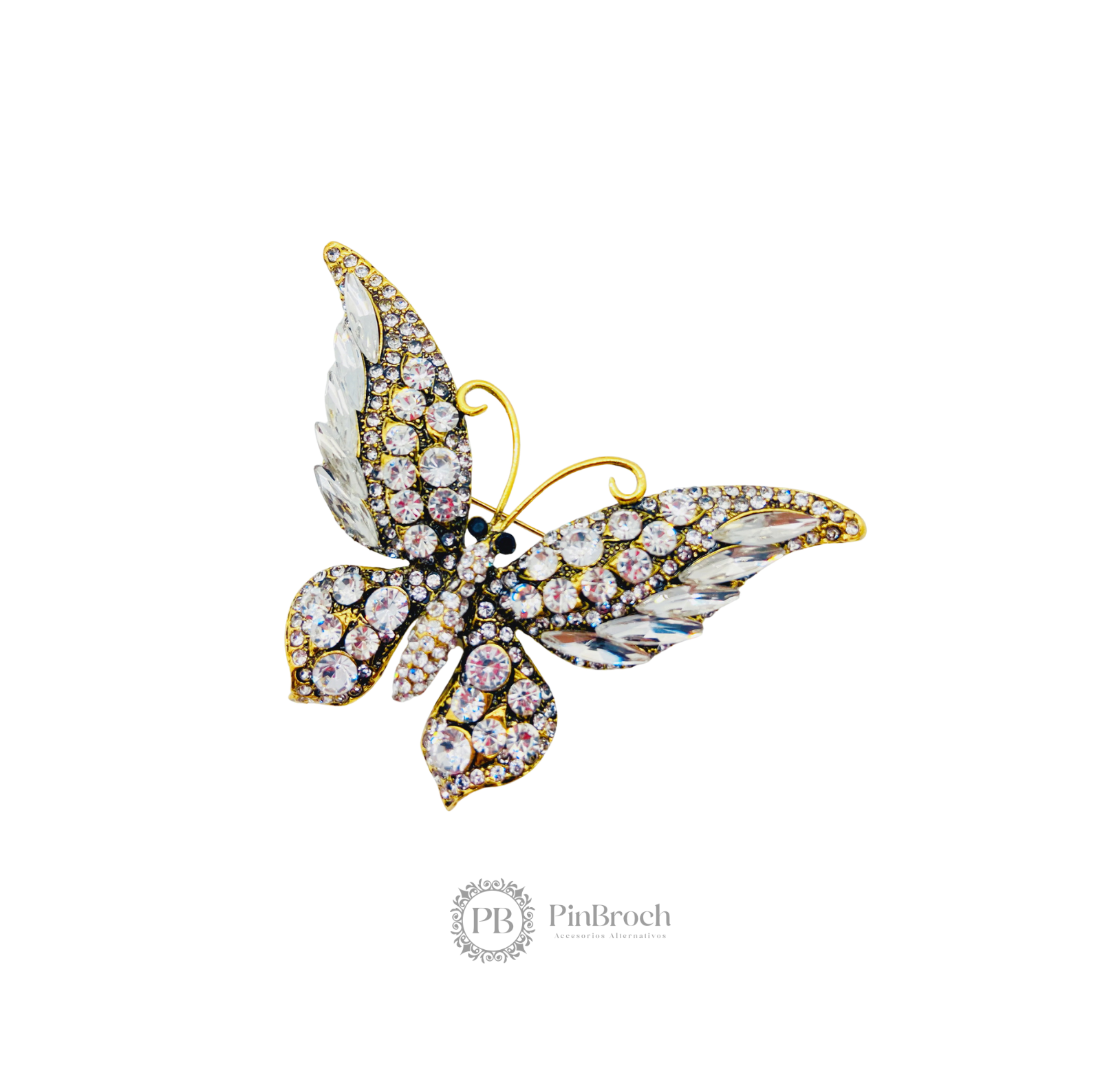 Mariposa Glam