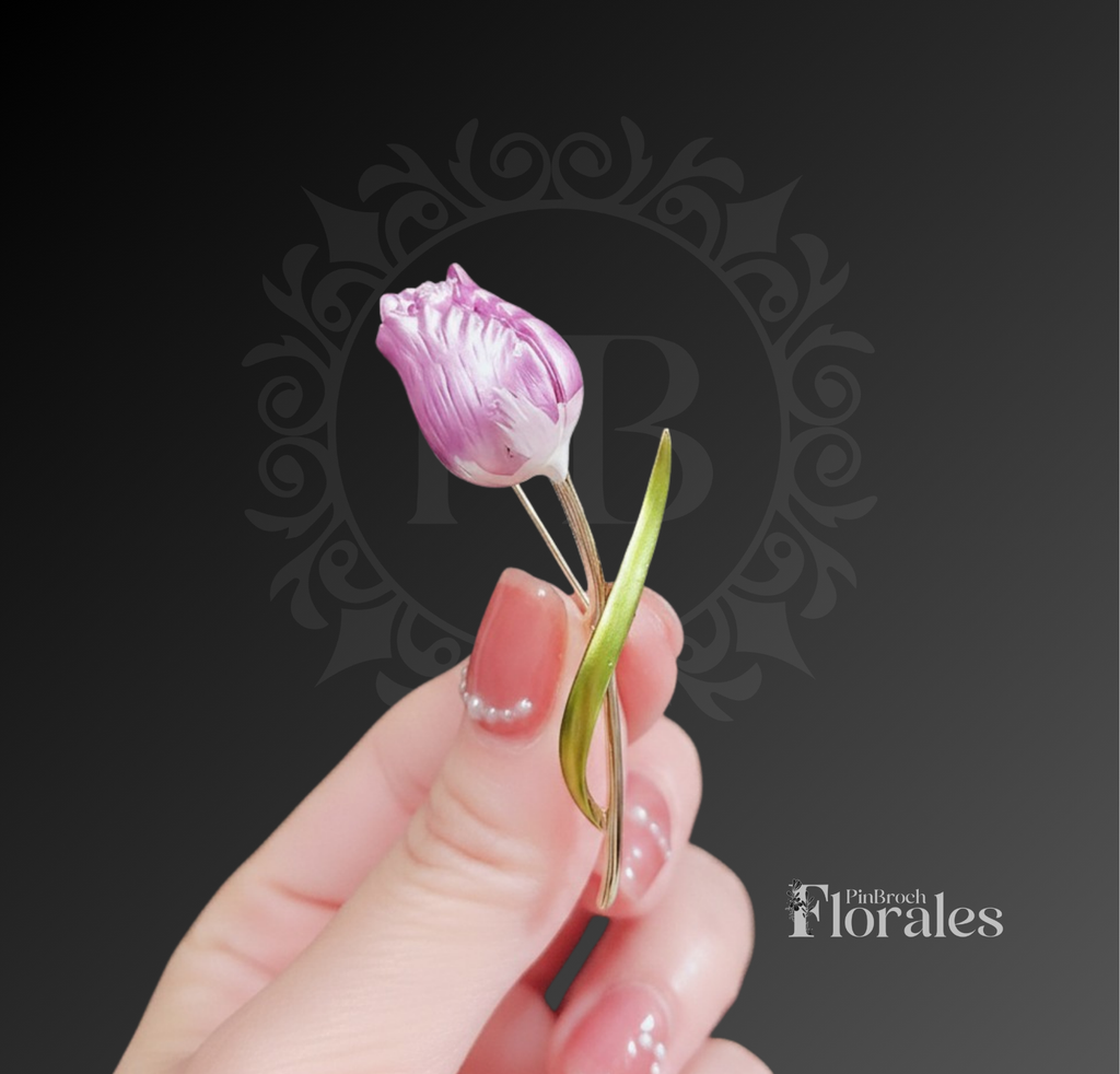 Tulipan