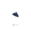 Mariposa Astral
