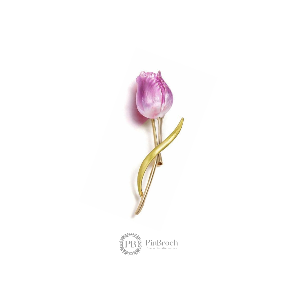 Tulipan