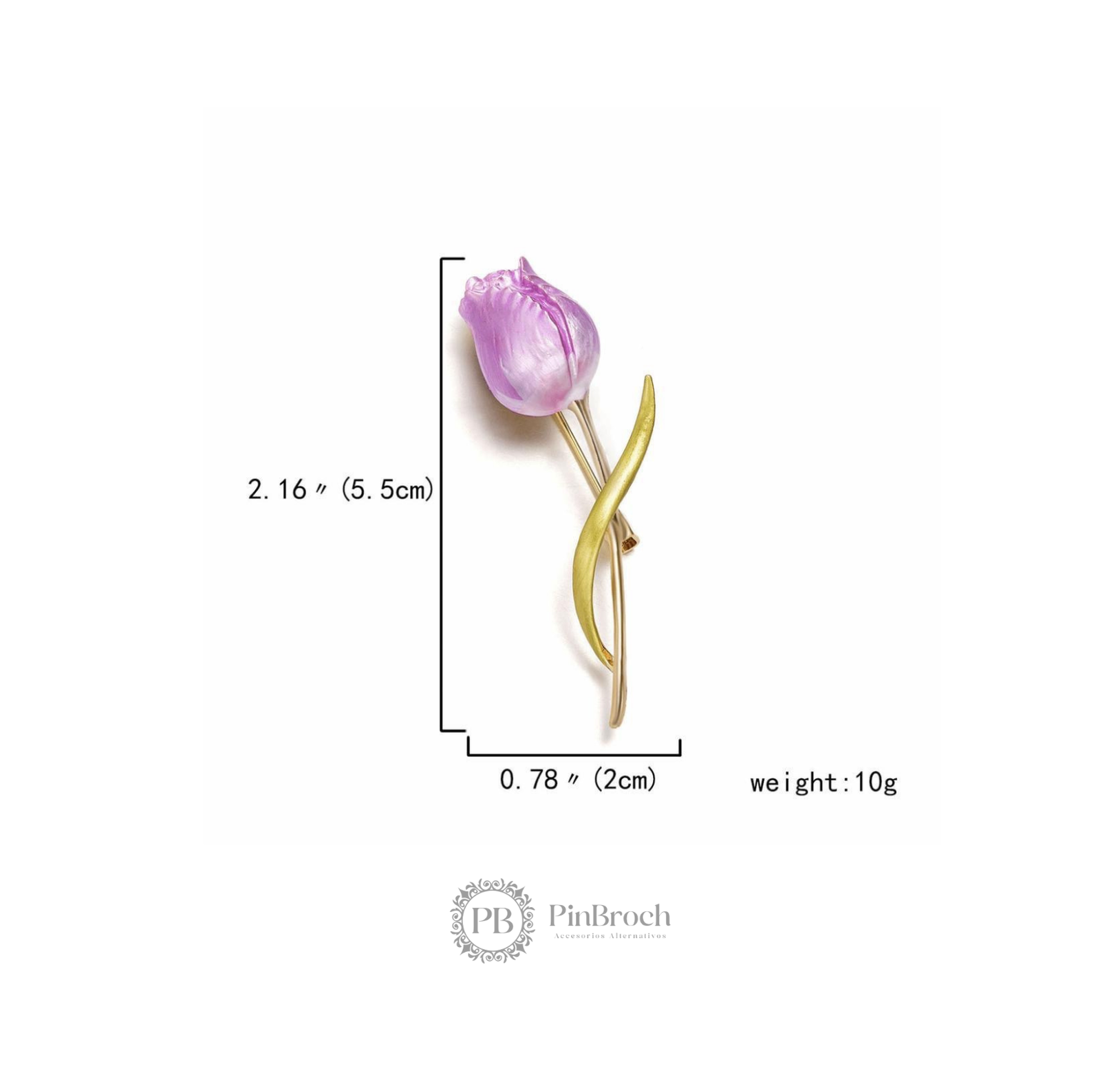 Tulipan