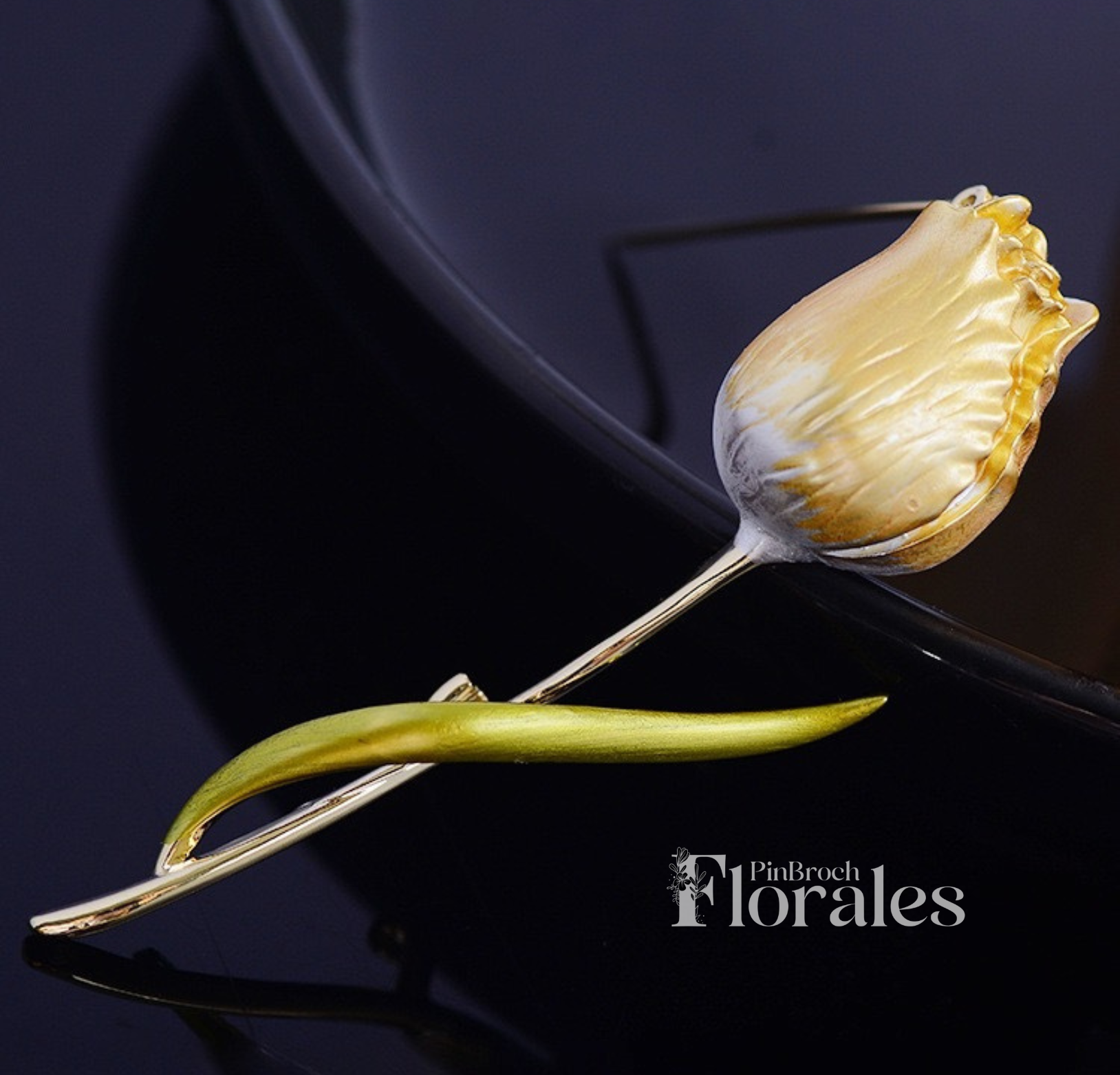 Tulipan