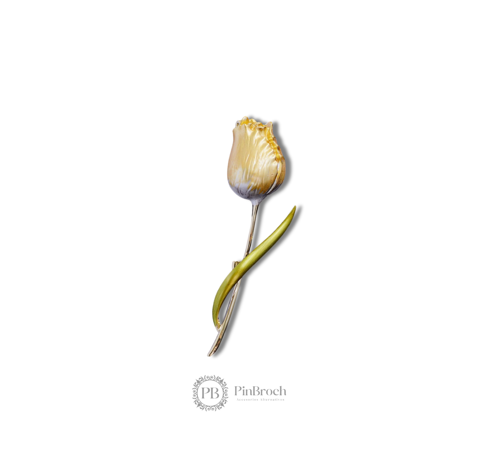 Tulipan